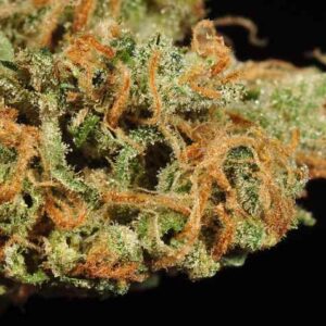 Strawberry Cough Marijuana Australia